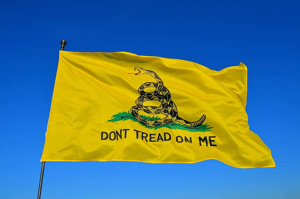 Anley 3 ft X5 ft Don't Tread on Me Flag - Tea Party Flags Polyester Outdoor Flags, Size: 3x5 Foot, Black